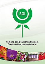 BGI